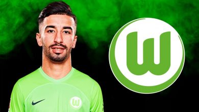 Amoura chez les loups de wolfsburg